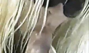 Brazzers-Haley film porno francais entier gratuit Jeune aime anal