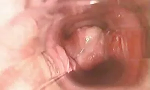 Babe avec des seins énormes en film sexe gratuit lingerie sexy