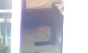 Lécher ma petite culotte film porno au complet